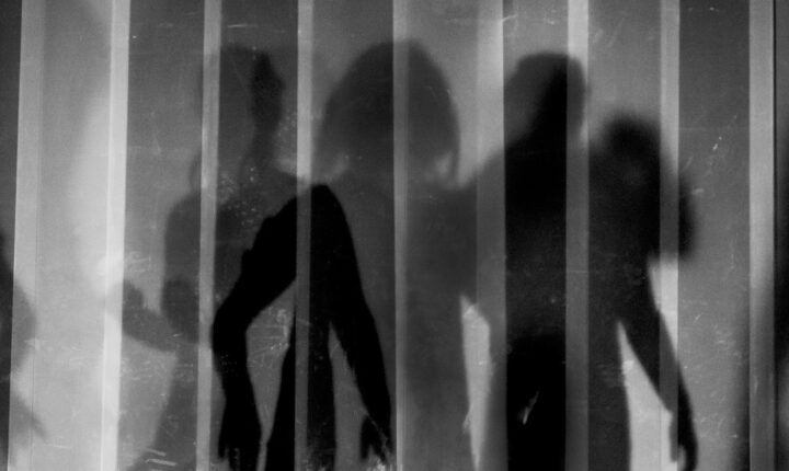 Edição Limitada regressa para uma nova edição