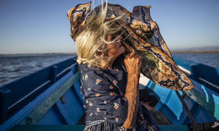 Edição Limitada regressa para uma nova edição