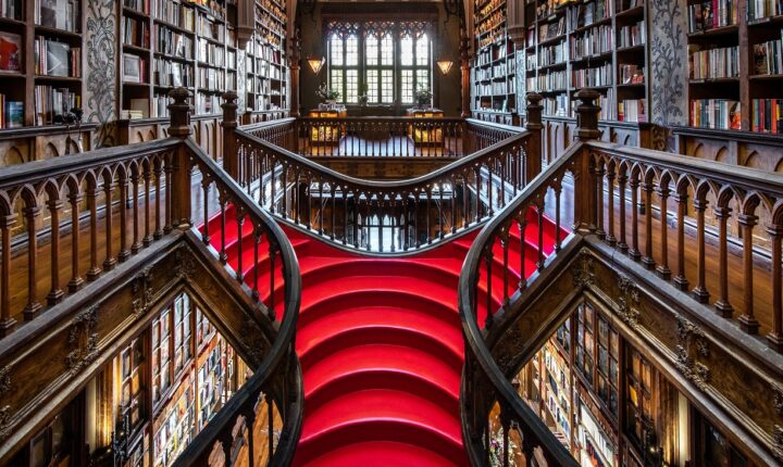 Babell: Salman Rushdie, Olga Tokarczuk e Margaret Atwood em destaque no festival literário do Porto