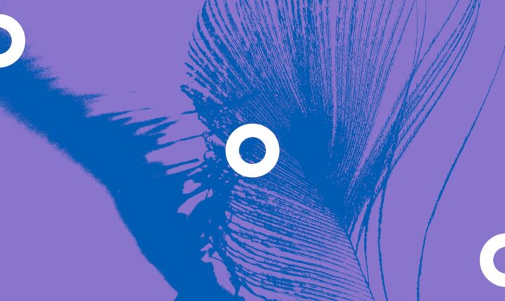 Doclisboa apresenta destaques da 24ª edição do festival